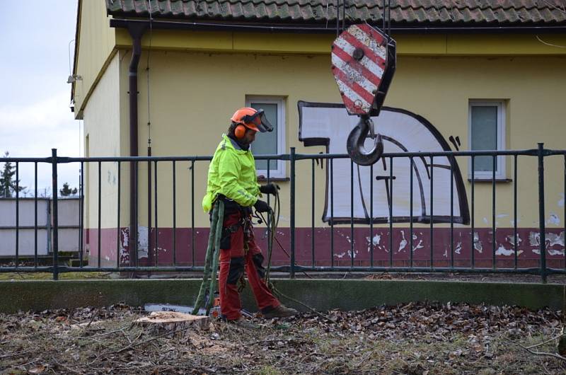 Kácení topolů u hřiště a internátu v Kladně.