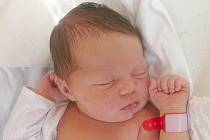 Adéla Janoudová, Kladno. Narodila se 27. ledna 2017. Váha 3,45 kg, míra 48 cm. Rodiče jsou Lenka a Bořivoj Janoudovi (porodnice Kladno).
