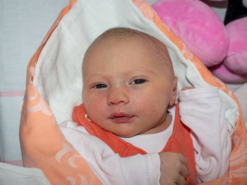 ANETA BRADÁČOVÁ, ČERNČICE. Narodila se 4. prosince 2019. Po porodu vážila 3,06 kg a měřila 49 cm. Rodiče jsou Veronika Pokorná a Pavel Bradáč. (porodnice Slaný)