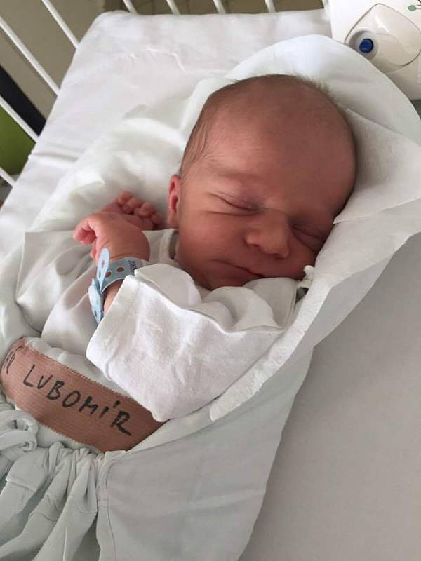Lubomír Novák, narodil se 10. 6. 2019, váha 2970 gramů, 47 cm, Rodiče Radka a Lubomír Novákovi, porodnice Kladno.