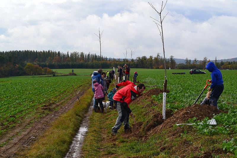 V Unhošti vysadili dobrovolníci desítky stromů.