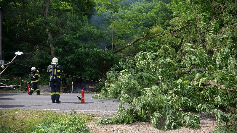 Strom při pádu poškodil elektrické vedení, zároveň zablokoval silnici číslo 101.