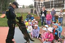 KLADENŠTÍ POLICISTÉ ze skupiny kynologie předškolákům  mimo jiné předvedli výcvik služebních psů. Zahrnoval například vypátrání ukrytých předmětů nebo simulované zadržení pachatele.
