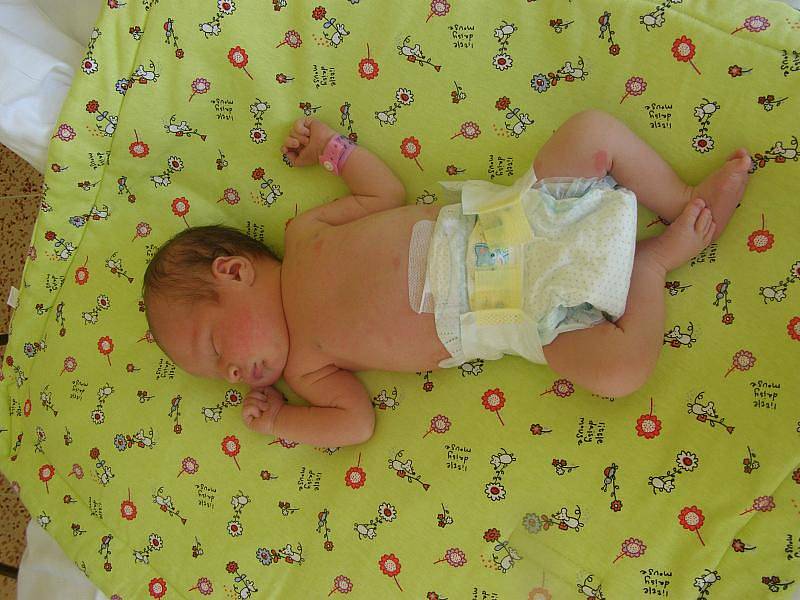 Žasmin Shtefanyuková, Praha, 23.8.2011, váha 3 kg, míra 50 cm, rodiče jsou Heorhina a Vasyl Shtefanyukovi (porodnice Kladno)