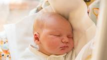Bartoloměj Bukový se narodil v nymburské porodnici 19. ledna 2021 ve 23:36 hodin s váhou 3760 g a mírou 50 cm. S maminkou Kateřinou, tatínkem Michalem a bráškou Benjaminem (3 roky) bude bydlet v Milovicích.
