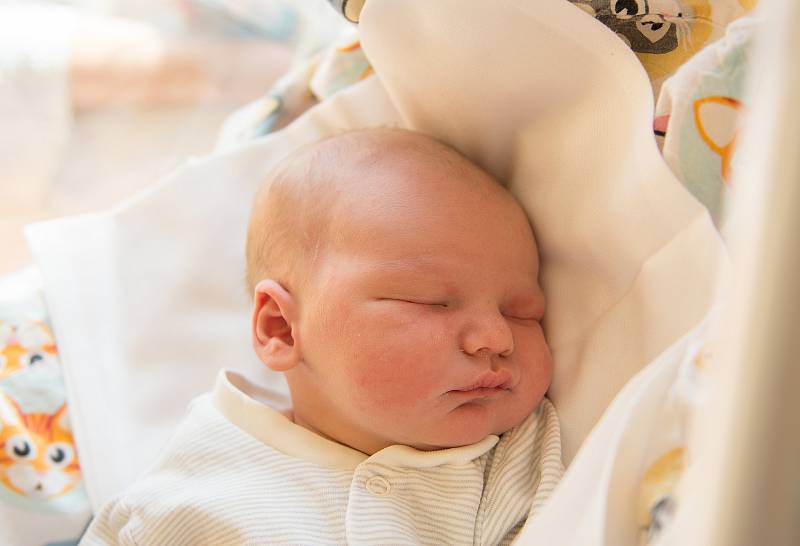 Bartoloměj Bukový se narodil v nymburské porodnici 19. ledna 2021 ve 23:36 hodin s váhou 3760 g a mírou 50 cm. S maminkou Kateřinou, tatínkem Michalem a bráškou Benjaminem (3 roky) bude bydlet v Milovicích.