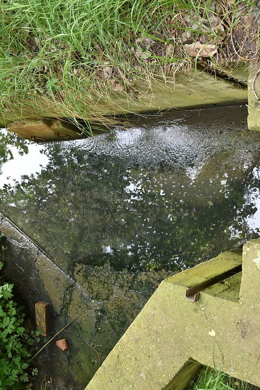 Do rybníka Tesla se valila znečištěná voda z čističky ze Studeněvsi.