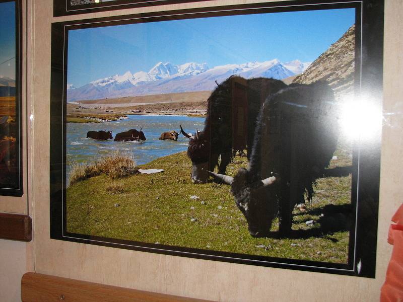 Dny tibetské kultury ve Slaném. Studenti SIŠ Slaný prezentují tibetská národní jídla.