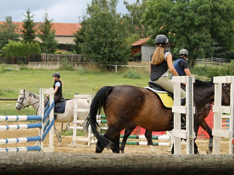 Jezdecký areál v Černuci s vnějším kolbištěm, osvětlenou jízdárnou a halou nabízí kvalitní podmínky jak pro rekreační ježdění, tak i pro přípravu skokových a drezurních koní.