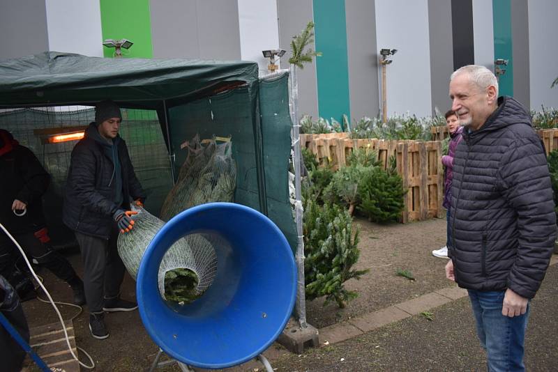 V Kladně vedou jedle. Lidé nakupují stromky s velkým zájmem.