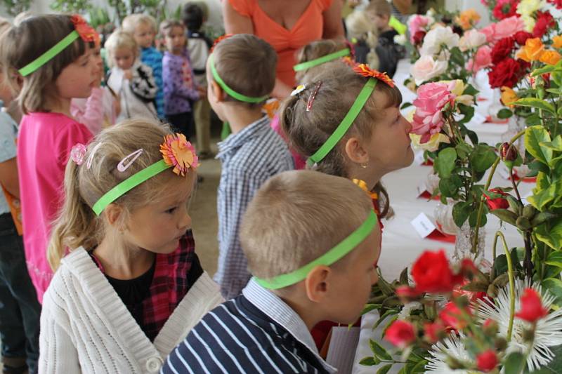 Výstava Růže a květy podzimu. Volba Nejkrásnější růže Kladenska. Dům zahrádkářů Kladno