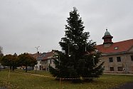 Náměstí ve Směčně zdobí už v říjnu vánoční strom.