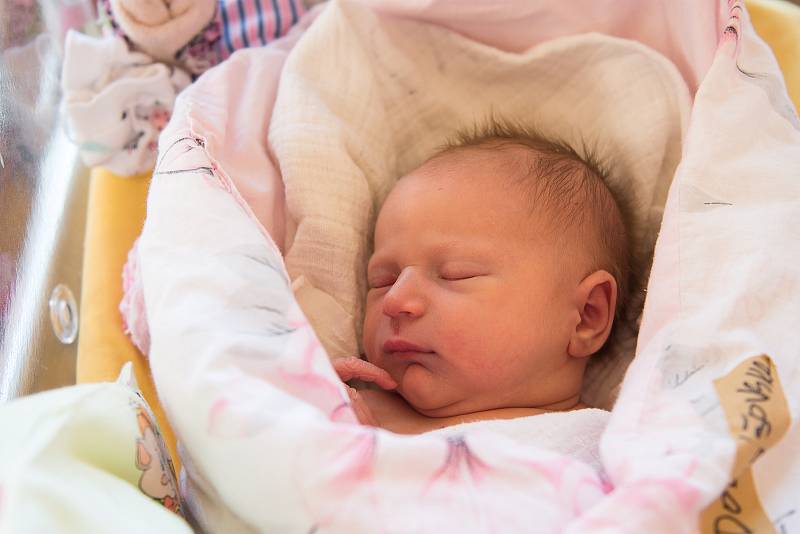 Ema Dobiášovská z Poděbrad se narodila v nymburské porodnici 20. ledna 2021 v 16:49 hodin s váhou 3370 g a mírou 51 cm. Z prvorozené holčičky se těší maminka Renata a tatínek Jiří.