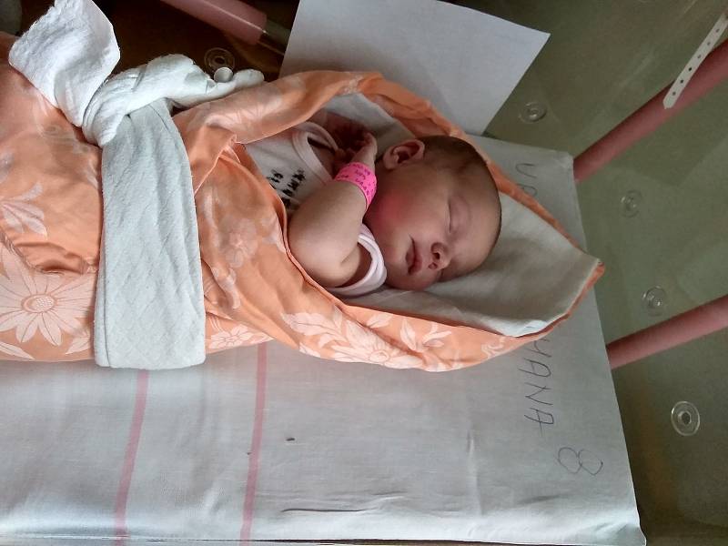 Hana Urbanová,Kladno. 13.6.2019. 3790 g, 52cm. Rodiče Jiří a Radka Urbanovi. (Bráška Jiříček) Porodnice Slaný.