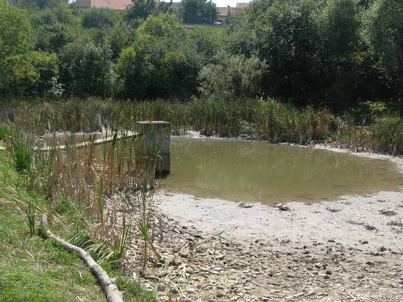 Vodní plocha u Pcher je již týden vypuštěna. Dle tvrzení starosty obce byly majiteli odstraněny velké kusy odpadků ze dna "rybníka" a v současnosti je znovu napouštěn. 