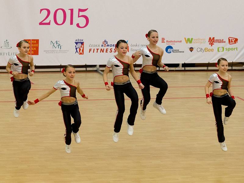 Aerobik v kladenské hale. Fitness tým petite Sport Academy Kladno 2. místo