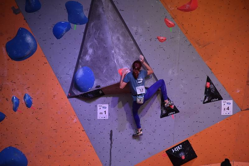 Rožnění býka a bouldering ve Slaném.