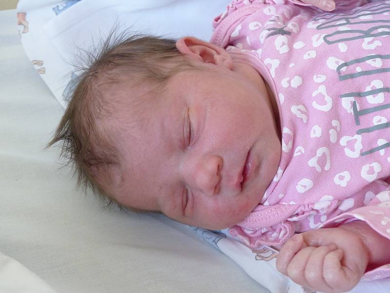 Melisa Dunková se narodila 31. ledna 2021 v kolínské porodnici, vážila 3040 g a měřila 46 cm. Do Plaňan si ji odvezli sourozenci Michael (4), Viktorie (3) a rodiče Barbora a Michal.