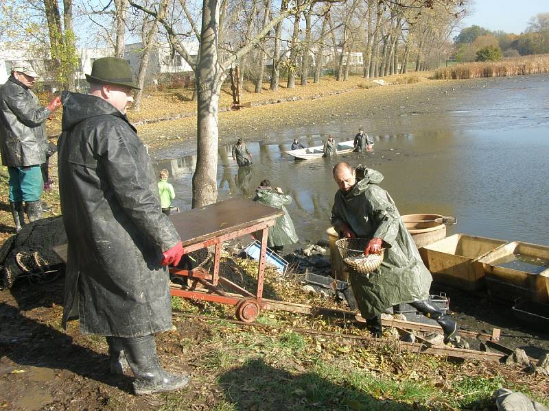 Výlov Bulharu se uskutečnil v sobotu dopoledne.