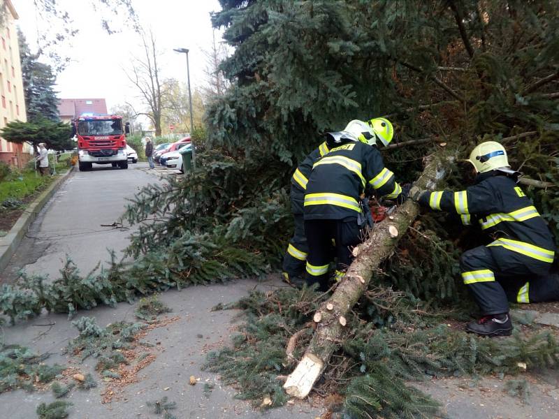 Likvcidace zlomeného smrku ve Slaném v Mírové ulici