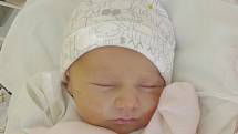 Elizabet Ryšlavá, Kladno. Narodila se 3. ledna 2017. Váha 2,54 kg. Rodiče jsou Maria a Michal Ryšlavých (porodnice Kladno).