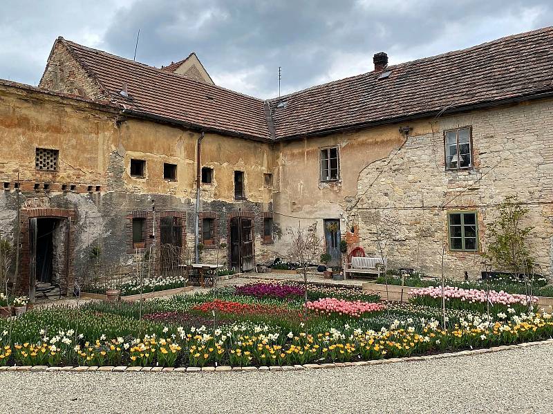 Na květinové farmě ve Stehelčevsi.