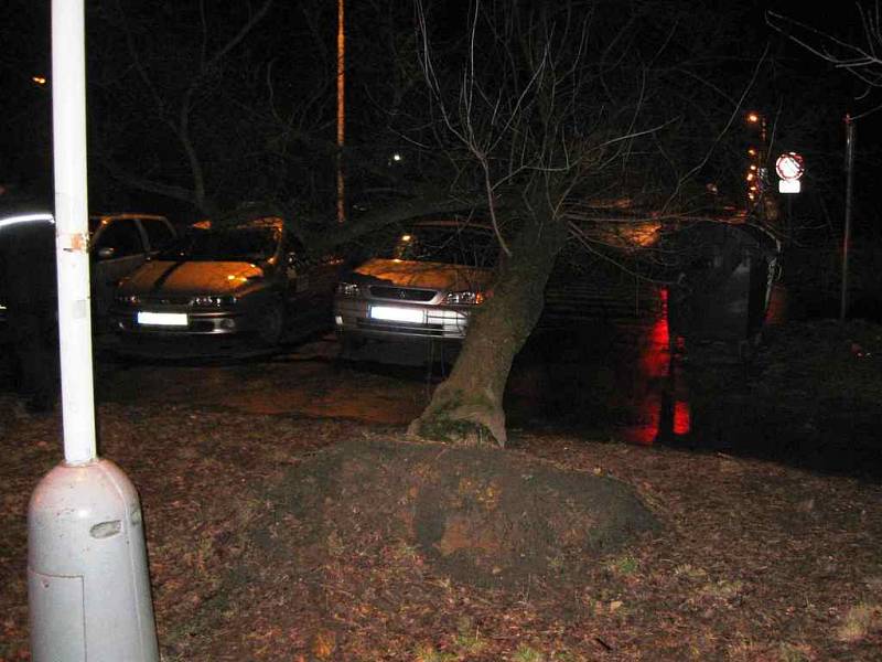 Na dva osobní vozy v Dánské ulici v Kladně spadl v úterý vzrostlý strom. 