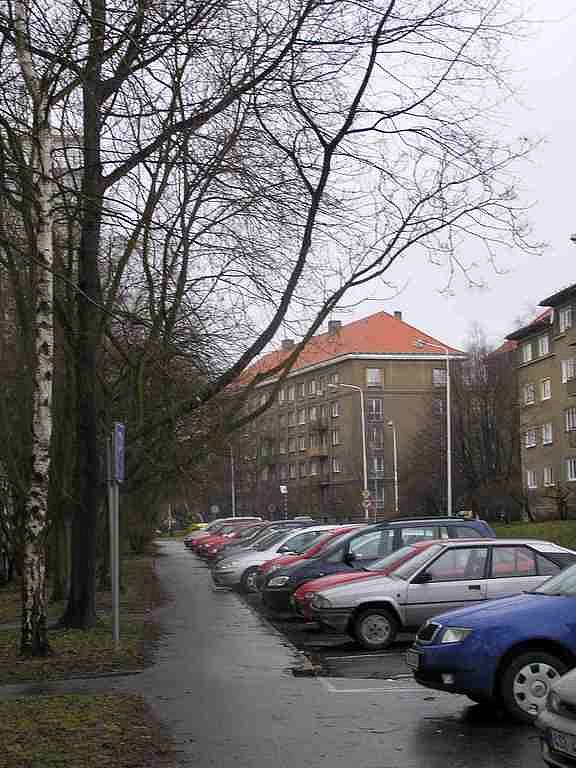 Obyvatelé Dánské ulice se obávají také silných větví, které vyčnívají nad parkující vozy.  