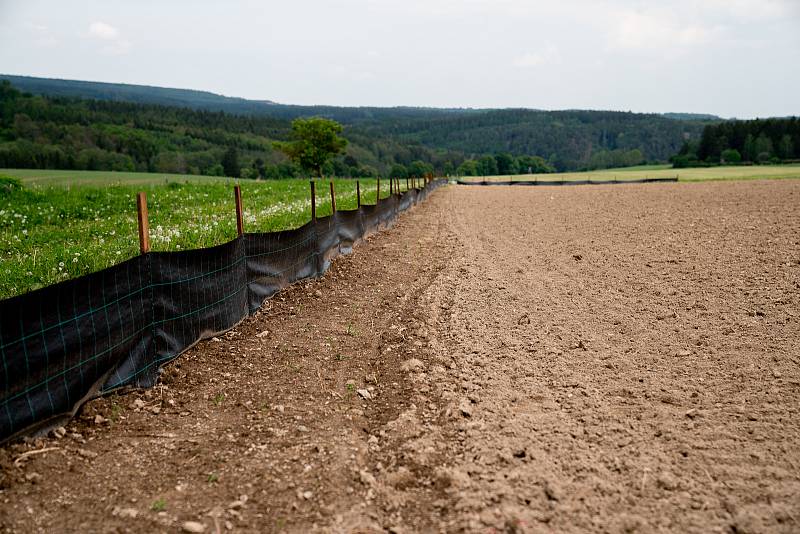 Na Amálce u Lán vzniká první Chytrá krajina.