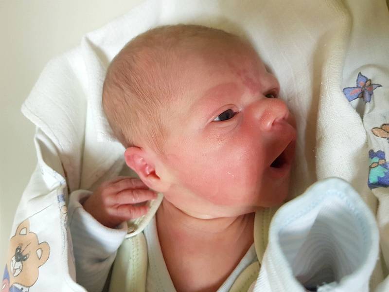 ŠIMON KNOTEK, SLANÝ. Narodil se 12. prosince  2017. Po porodu vážil 2,91 kg a měřil 50 cm. Rodiče jsou Kateřina Melis a Richard Knotek. (porodnice Slaný)