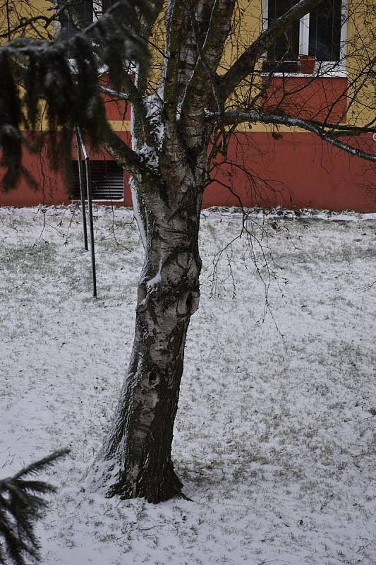 Sněhová bouře ve Slaném.