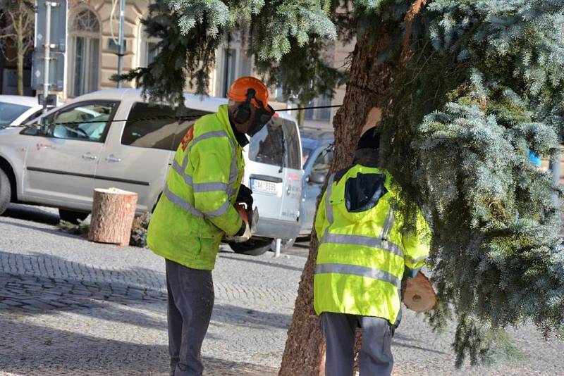 Strom splněných přání bude rozsvícen v pátek 1. prosince. Vzácným hostem bude zpěvačka Lucie Bílá.