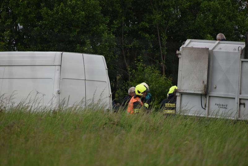 Policisté našli na pozemku nedaleko Kladna uhynulé šelmy