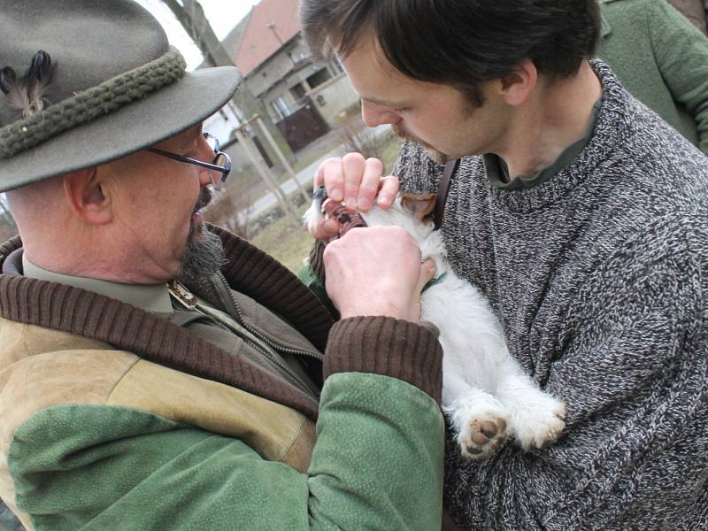 Okresní myslivecká výstava v Žilině 2013 spojená s jarním svodem psů