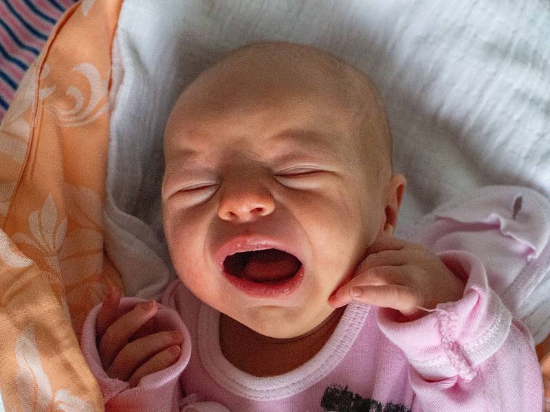 LENKA ŠVECOVÁ, LÍŠŤANY. Narodila se 11. září 2019. Po porodu vážila 3,00 kg a měřila 51 cm. Rodiče jsou Lenka Miltová a Karel Švec. (porodnice Slaný)