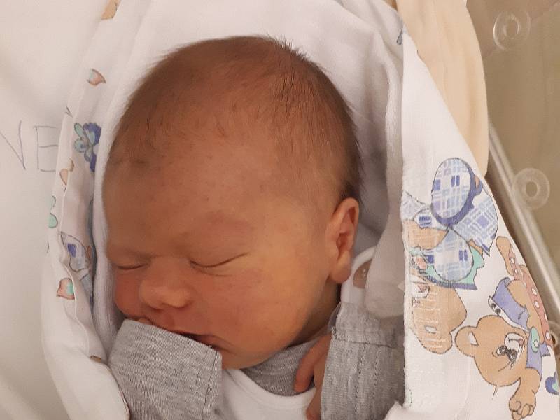 VOJTĚCH NEDVĚD, SLANÝ. Narodil se 11. ledna 2019. Po porodu vážil 3,96 kg a měřil 53 cm. Rodiče jsou Blanka a Robert Nedvědovi. (nemocnice Slaný)