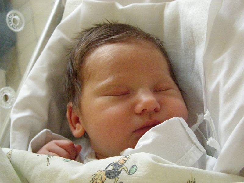 Emy Bujoková, Kladno. Narodila se 14. prosince 2012, váha 3, 40kg, míra 47cm. Rodiče jsou Nikola Šmelková a Zdeněk Bujok (porodnice Kladno)  