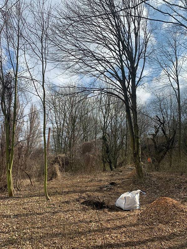 V Kladně u Panské louky byla objevena stará štola