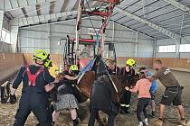 K náročné záchraně koně vyjeli hasiči z centrální hasičské stanice Kladno a dobrovolní hasiči z Unhoště.