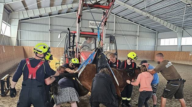 K náročné záchraně koně vyjeli hasiči z centrální hasičské stanice Kladno a dobrovolní hasiči z Unhoště.