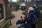 Do zooparku míří rodiny i v chladném počasí.