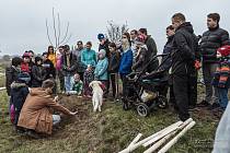 Členové ledeckého spolku při sázení mladých stromů.