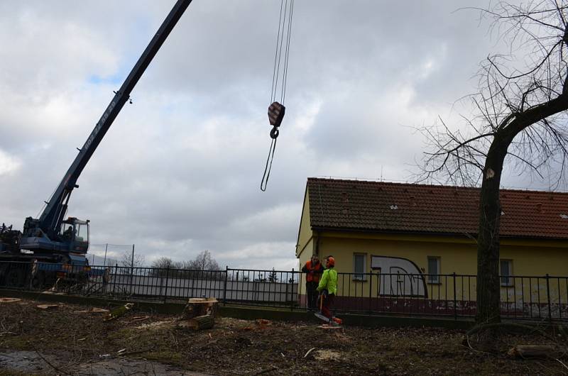 Kácení topolů u hřiště a internátu v Kladně.