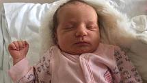 ADÉL ZEGZULKOVÁ, BRANDÝSEK. Narodila se 20. ledna 2020. Po porodu vážila 3,26 kg a měřila 49 cm.  Rodiče jsou Barbora Zegzulková a David Zegzulka. (porodnice Kladno)