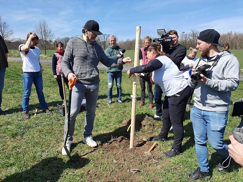 V Bělokách mají novou višňovou alej. Jeden ze stromů zasadil i legendární hokejista Jaromír Jágr.