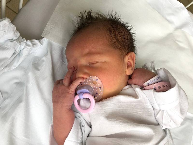 ELIŠKA HÄNELOVÁ, KLADNO. Narodila se 24. ledna 2019. Po porodu vážila 3,6 kg a měřila 48 cm. Rodiče jsou Aneta Pancnerová a Tomáš Hänel. (porodnice Kladno)