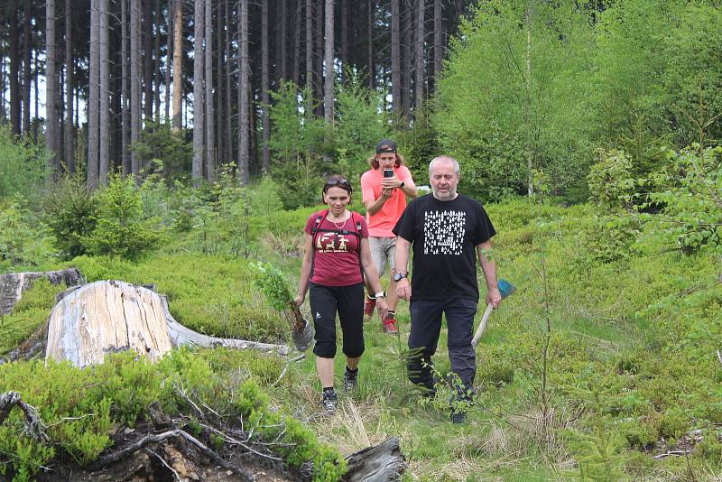Sázení stromků na Šumavě s WeLoveŠumava 5. června 2021.