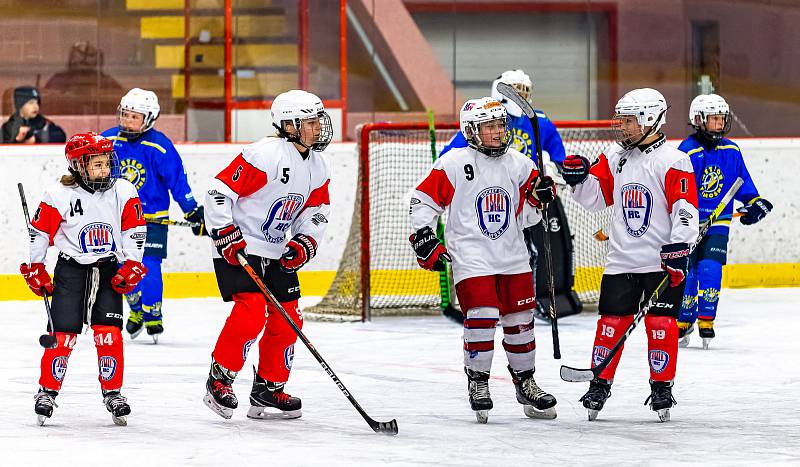 5. třídy: HC Klatovy (bílí) - HC Meteor Třemošná.