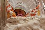Tereza Cajthamlová se narodila 31. května v 6:29 rodičům Tereze a Milanovi z Rokycan. Po pří-chodu na svět v plzeňské FN na Lochotíně vážila jejich prvorozená dcera 2690 g a měřila 48 cm.