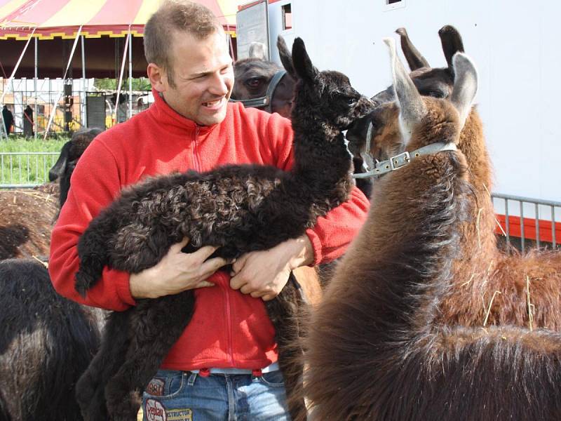 Národní cirkus originál Berousek přijel do Klatov